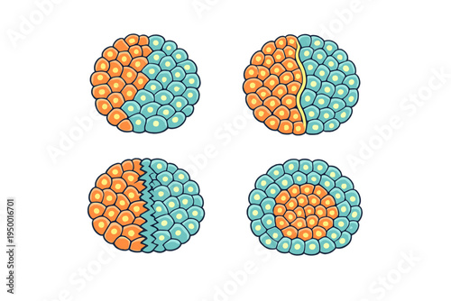 A vector illustration featuring four diagrams showing different