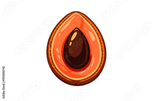 This vector art depicts a cross-section of a tropical mamey sapote