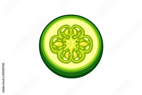 A vector illustration of a fresh green cucumber cross-section