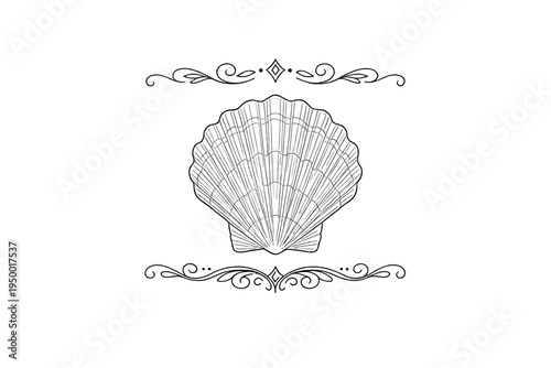 A black and white line art illustration of a scallop seashell