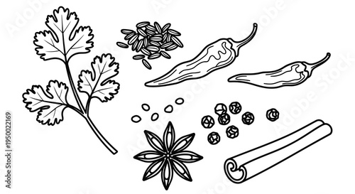 A collection of spices and herbs illustrated in black and white.