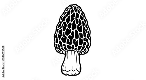 A simple black and white illustration of a morel mushroom.