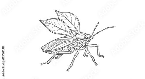 A simple line drawing of a grasshopper with wings spread out.