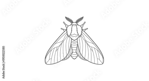 A simple black and white drawing of a moth with its wings spread.