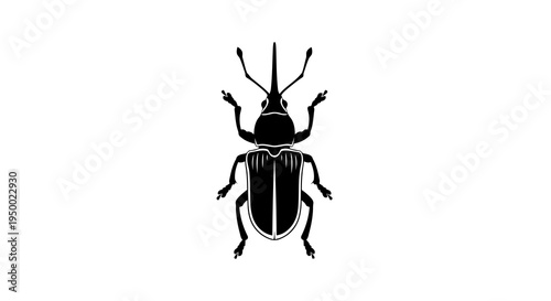 A simple black silhouette of a beetle on a white background is visible.