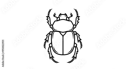 A simple black and white line drawing of a beetle viewed from above.
