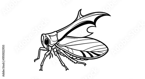 A simple black and white drawing of an insect with large wings.