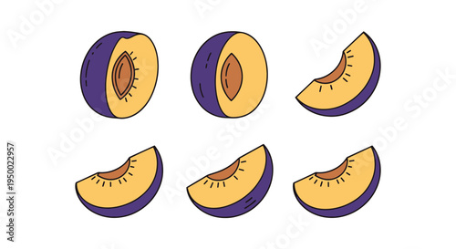 Plum Slice Line art vector digital abstract colorful