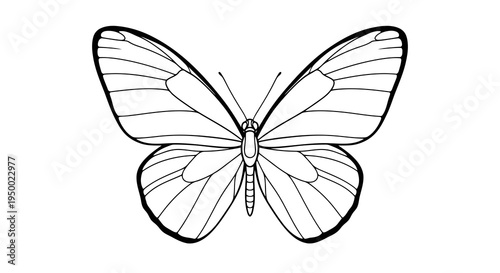 A simple black and white illustration of a butterfly with its wings spread.
