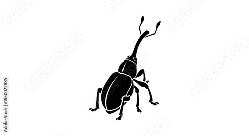 A simple black and white illustration of a beetle with distinctive antennae.