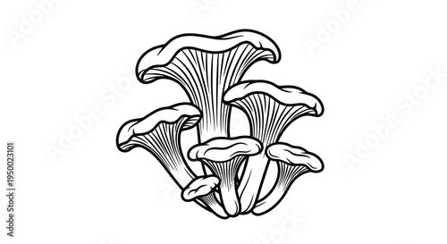 A beautiful illustration of a group of mushrooms in black and white.