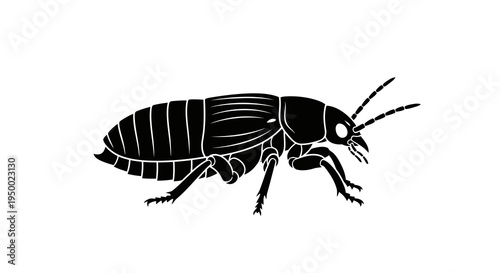 A simple black and white illustration of a cockroach viewed from the side.