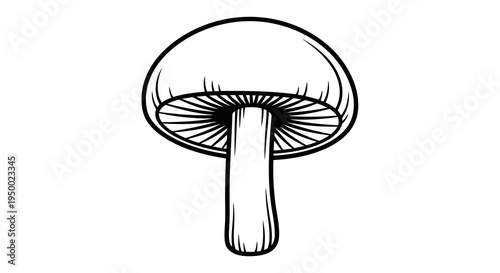 A simple black and white illustration of a mushroom with visible gills.
