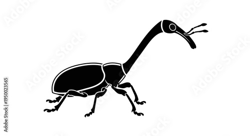 A simple black and white illustration of a giraffe weevil on a white background.