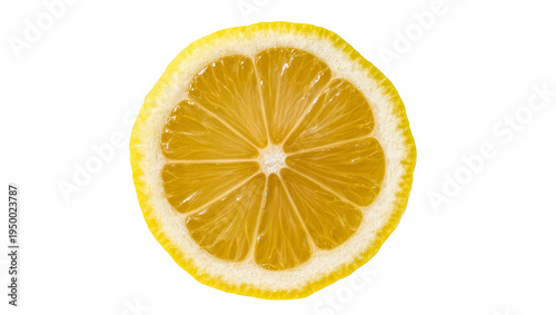 Isolated refreshing vibrant yellow lemon slice showing juicy segments and bright zest