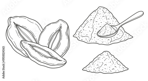 Cocoa pods and powder in a simple line drawing style.