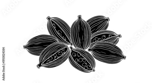Cocoa pods arranged in a floral pattern, detailed illustration.