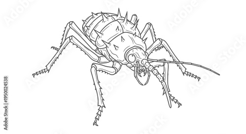 Detailed black and white drawing of an insect with spiky body and long antennae.