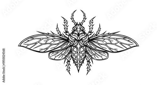 Detailed black and white illustration of an insect with large wings and sharp features.