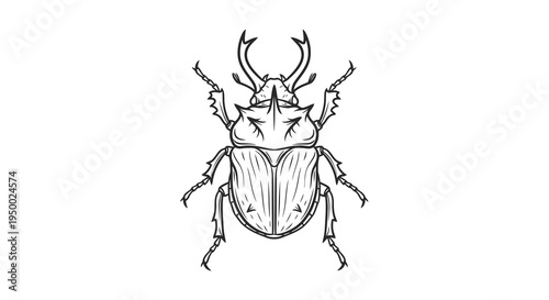 A simple black and white drawing of a beetle with distinctive horns and body shape.