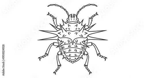 Detailed black and white drawing of a beetle with spiky protrusions on its body.