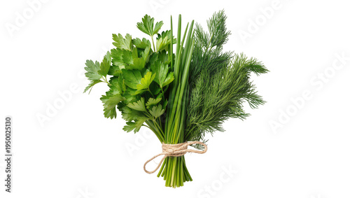 Foto Isolated fresh fragrant herbs bunch of parsley, chives, and dill tied with twine