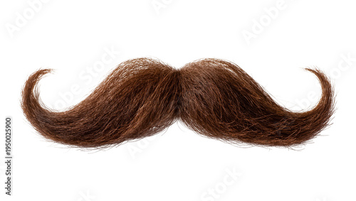 Tableau sur toile Isolated brown fake mustache with curly ends, a classic symbol of masculinity an