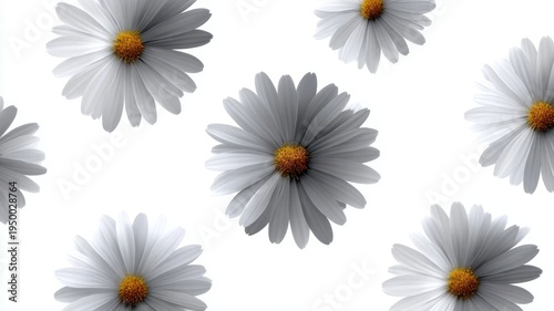 White daisy flowers seamless background a beautiful seamless background pattern featuring delicate white daisy flowers