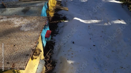 Honey bees flying around hive entrance in mountain apiary near Slavsko Lviv region Ukraine during sunny day beekeeping footage showing active bee colony and natural pollination.