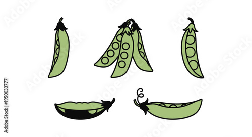 Sugar Snap Peas Line art abstract color harmony illustration