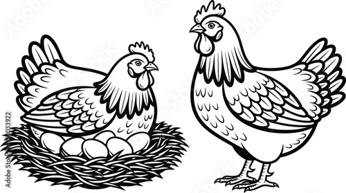 Chicken and hen illustration set, farm poultry bird with eggs nest, agriculture livestock animal vector drawing collection