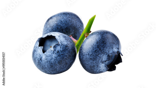 Isolated fresh ripe organic blueberries with a green stem, healthy natural superfood antioxidant snack.