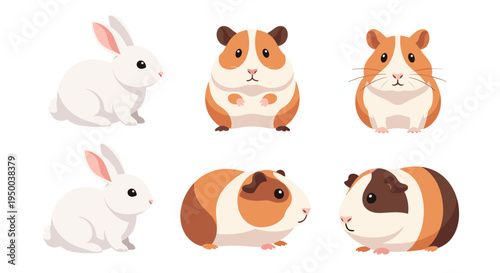 Charming Pet Shop Animals: Cute Rabbits and Guinea Pigs Posing on White Background, Vector Illustration for Children's Education, Veterinary Clinic Promotion, Gentle Animal Companions for Families (Ca