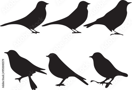 Flying Bird Icons Set, Bird Silhouette Icons Collection, Minimal Bird Vector Icons , Bird Logo Icons Set, Black Bird Silhouette Vector Set