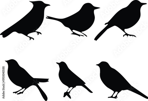 Flying Bird Silhouette Icons Set Vectos , Minimal Bird Logo Collection, Abstract Flying Bird Vector Icons Pack, Modern Bird Silhouette Logo Set, Simple Bird Icon Collection Vector, Flying Bird Icons 