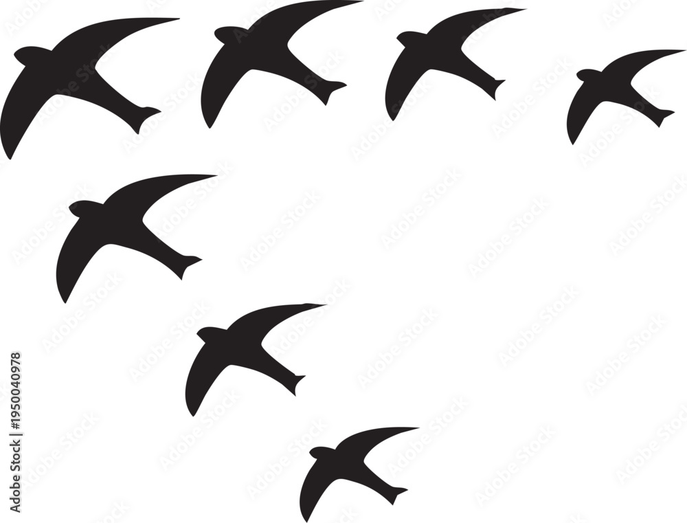 Fototapeta Flying Bird Icons Set, Bird Silhouette Icons Collection, Minimal Bird Vector Icons , Bird Logo Icons Set, Black Bird Silhouette Vector Set