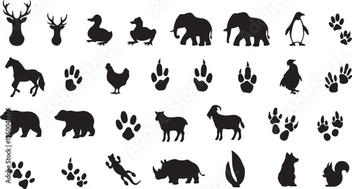 Animal Footprint Tracks and Wildlife Paw Prints Black Vector Set