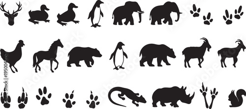 Animal Footprint Tracks and Wildlife Paw Prints Black Vector Set