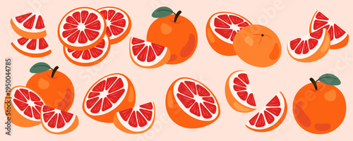 Collection of Fresh Grapefruit vectors, including whole, halved, and sliced pieces
