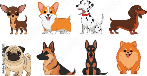 Collection of cute cartoon dog breeds including chihuahua corgi dalmatian dachshund pug german shepherd doberman and pomeranian isolated on white background