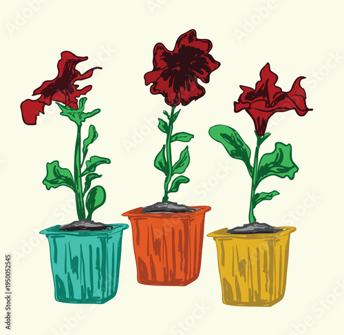 Red Petunia Flower in Retro Pot Set – Potted Blooms