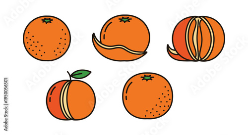 Tangerine Line art vector set colorful geometric abstract illustration