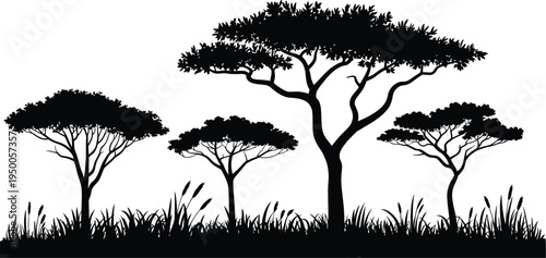 African Savanna Acacia Tree Silhouette, flat vector art featuring shrubs, grass, and iconic umbrella-shaped canopy, nature and ecology illustration for environmental concept.