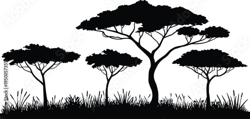 African Savanna Acacia Tree Silhouette, flat vector art featuring shrubs, grass, and iconic umbrella-shaped canopy, nature and ecology illustration for environmental concept.