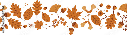 Collection of various orange and brown autumn leaves on white background