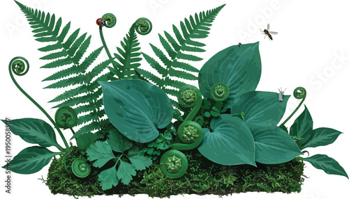 Lush green plants and ferns growing together in a dense tropical garden setting outdoors naturally