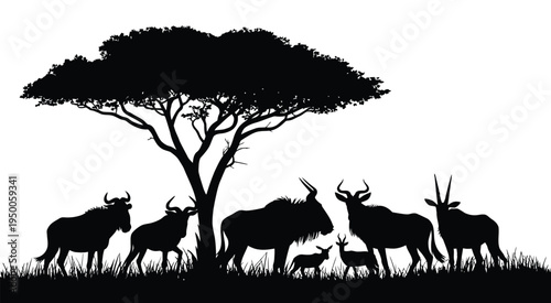 Wildebeest Herd Silhouette under Acacia Tree in African Savanna, vector illustration for wildlife, safari, and nature landscape design.