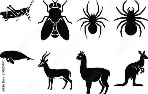 Black silhouettes of various animals on white background