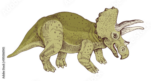 Triceratops dinosaur hand drawn vector
