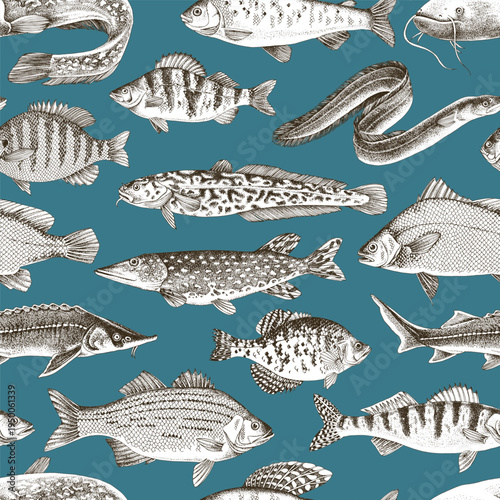 Freshwater fishes vector seamless pattern